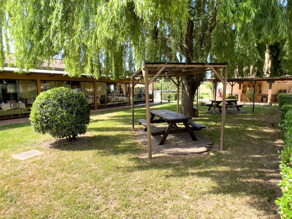 Agriturismo Terra Di Elea Azienda Agricola Di Raimondo Michela Ascea Buitenkant foto