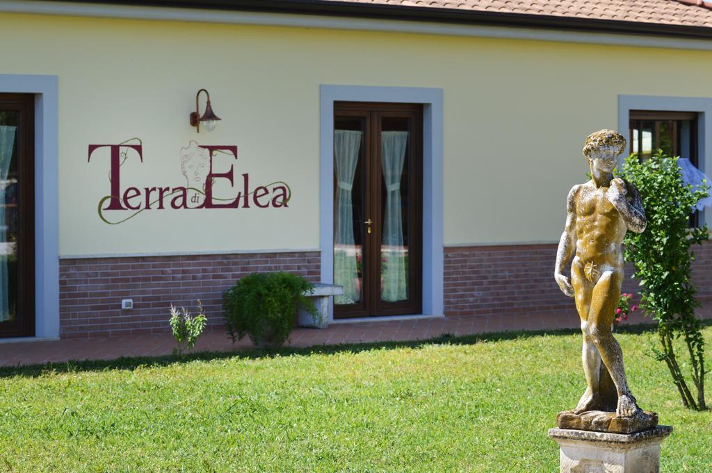 Agriturismo Terra Di Elea Azienda Agricola Di Raimondo Michela Ascea Buitenkant foto