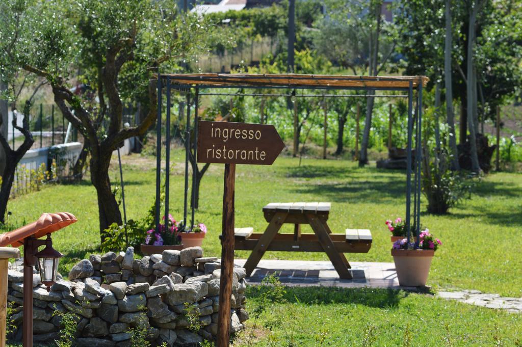 Agriturismo Terra Di Elea Azienda Agricola Di Raimondo Michela Ascea Buitenkant foto