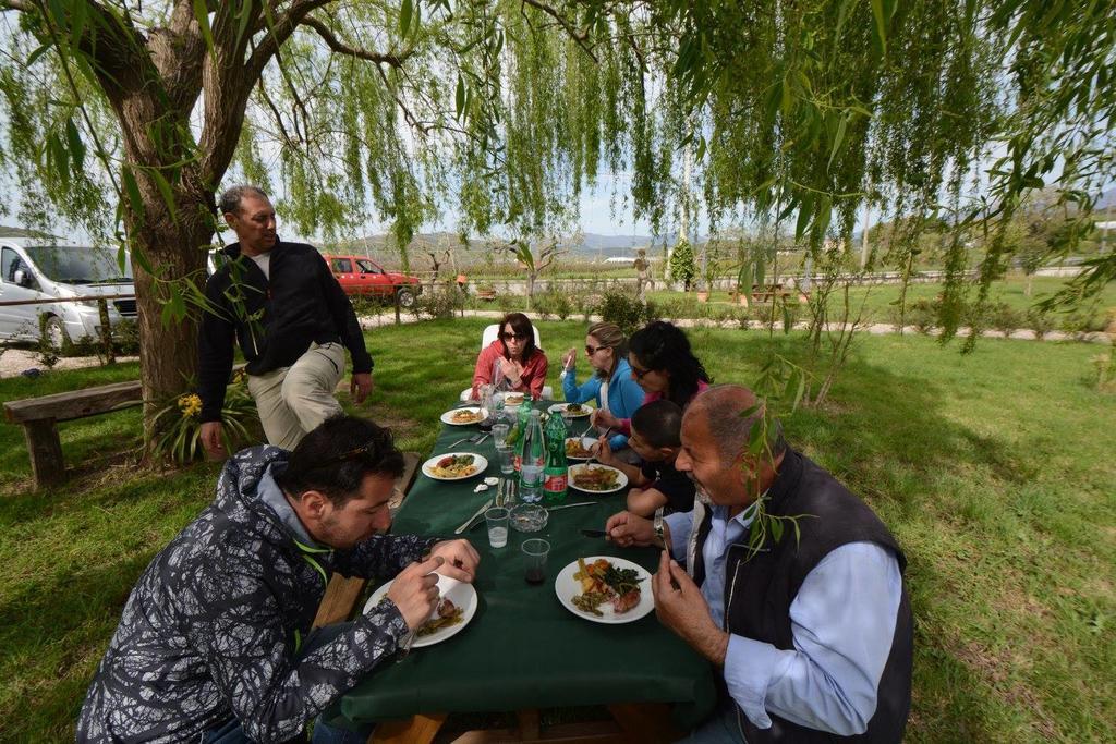 Agriturismo Terra Di Elea Azienda Agricola Di Raimondo Michela Ascea Buitenkant foto