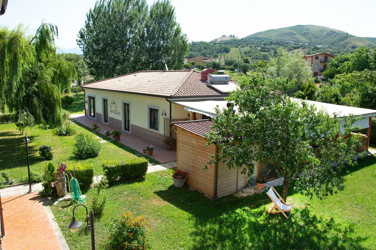 Agriturismo Terra Di Elea Azienda Agricola Di Raimondo Michela Ascea Buitenkant foto