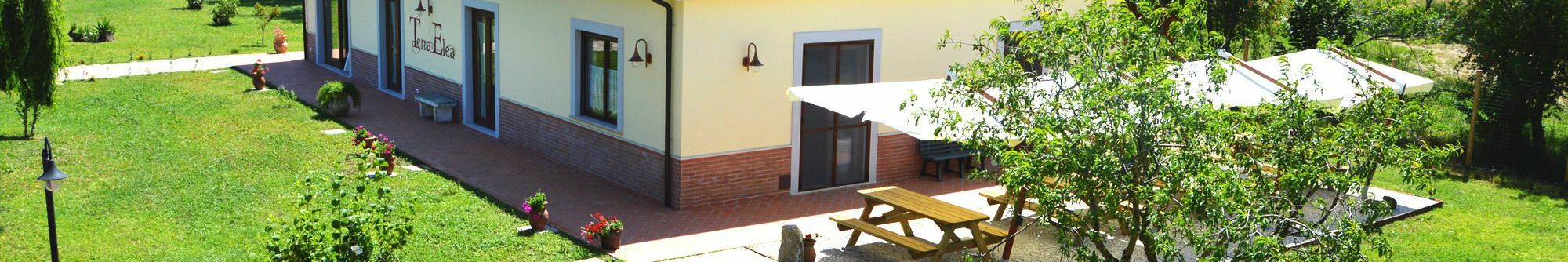 Agriturismo Terra Di Elea Azienda Agricola Di Raimondo Michela Ascea Buitenkant foto